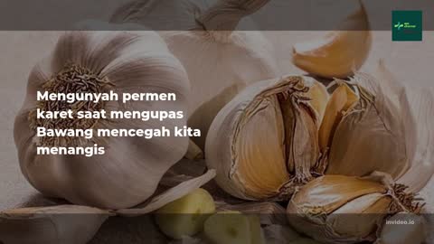 MUNGKIN KALIAN BANYAK YANG BELUM TAHU