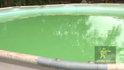 06-11-21 Lexington, KY - Algae Storm For Pools