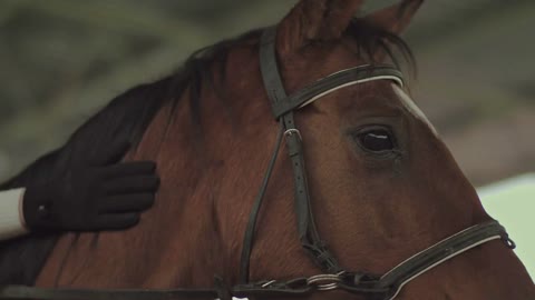 Rider stroking his horse while sitting astride her