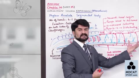 LEC#15 CIRCULATORY SYSTEM IN EARTHWORM AND COCKROACH