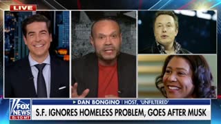 Dan Bongino slams San Francisco Mayor London Breed for going after Elon Musk