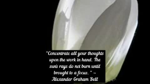 Concentrate all your thoughts upon the work in hand The sun's rays do not burn until brought to a f