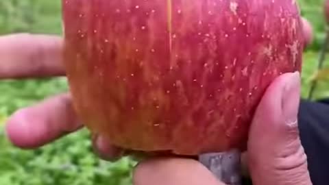 Video Triệu View Thỏa Mãn Người Xem Best Video Oddly Satisfying ( P870 )