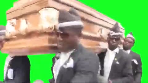 Funny Coffin Dance Video 😂