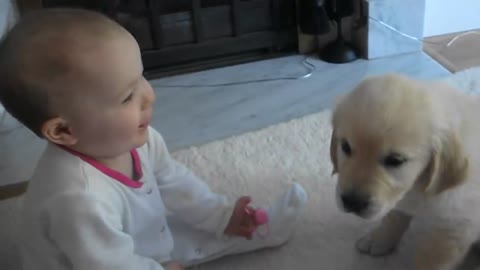 Baby and Puppy meet for the first time!