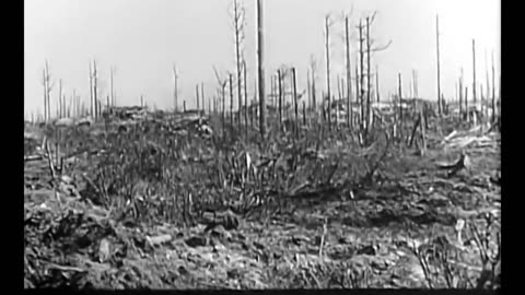 Tiger 1_in_action_on_the_eastern_front_in_1943