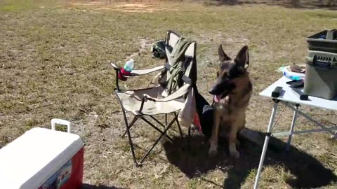 Practice for USPSA in yard