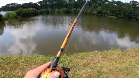 Fishing