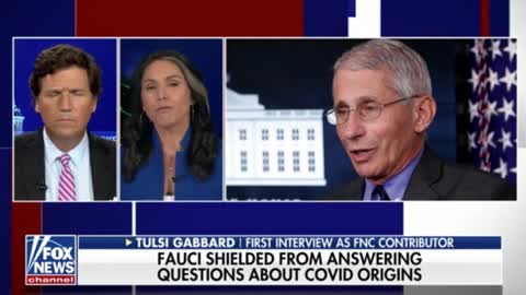 Tulsi Calls Out The White House & Fauci's COVID Misinformation Putting The American People At Risk