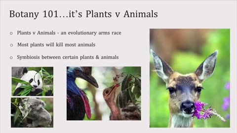 Botany 101 , plant toxins in your diet