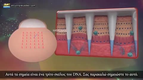 ΘΑ ΜΠΟΡΟΥΣΕ Η ΤΕΧΝΟΛΟΓΙΑ ΤΩΝ ΜΠΟΛΙΩΝ RNA DNA ΝΑ ΕΙΝΑΙ ΤΟ ΠΡΟΦΗΤΕΥΟΜΕΝΟ ΧΑΡΑΓΜΑ ΤΟΥ ΘΗΡΙΟΥ ;