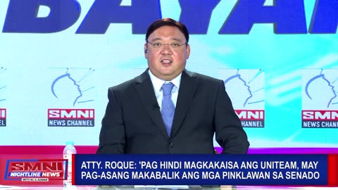 'Pag hindi magkakaisa ang UniTeam, may pag-asang makabalik ang mga pinklawan sa Senado