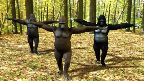 Dancing gorillas video ( official music video)