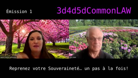 3d4d5dCommonLAW Émission 1