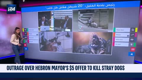 Outrage over Hebron Mayor's $5 offer to kill stray dogs