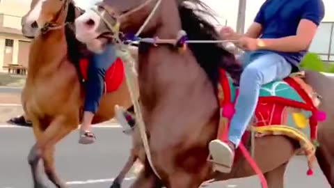 horse runing video || horse race video || #shorts #animal #horse