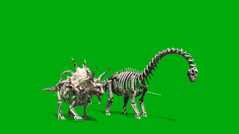 composite video with dinosaur skeleton green screen