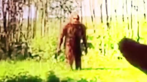 Top 10 Convincing Bigfoot Sightings Recently Discovered