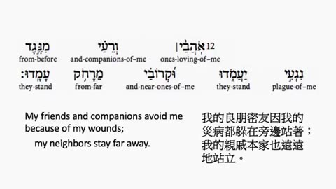 psalm 38 in hebrew _ salmo 38 en hebreo