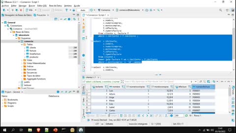 Lenguaje SQL y PostgreSQL parte 11. Consulta combinadas.