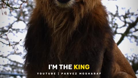 So What, I Am The King 🔥🔥 | motivational quotes #shorts #parvezmosharaf