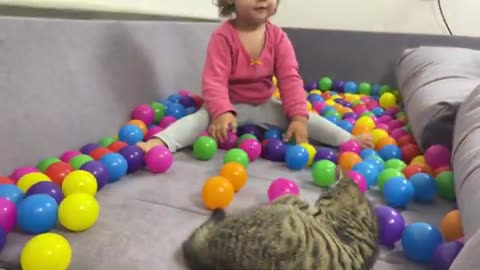 Funny Reaction of Baby and Kitten to Colored Balls!