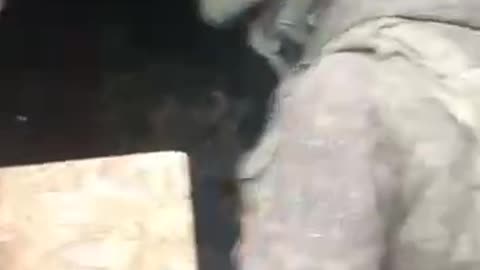 Footage of Ukrainian soldiers being captured by Russian fighters.