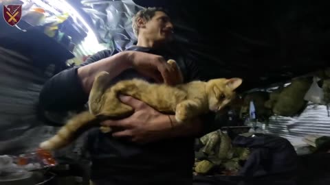 Cat Who Has Spent it's Entire Life with a Ukrainian Artillery Crew