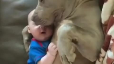 Cute baby sleeping with dog.