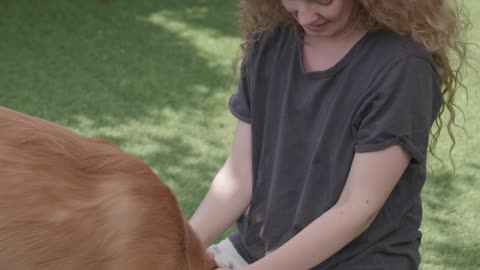 Woman training kiss with Pet Dog