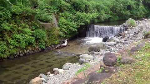 Visiting a Japanese mountain fish farm