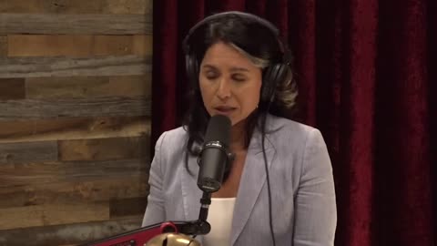 Joe Rogan and Tulsi Gabbard discuss the Democratic establishment, the corporate media