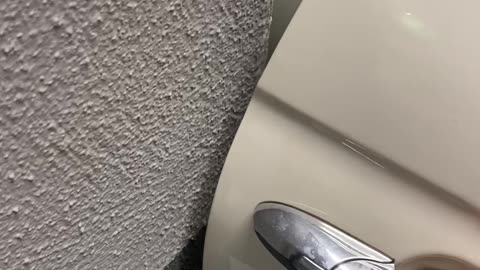 Close Call With Car Door