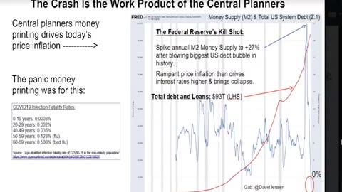 SGT Report RED ALERT: PLANET PONZI DEMOLITION -- DAVID JENSEN