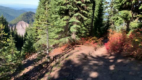 Oregon – Mount Hood – Hiking the Alpine Wilderness – 4K