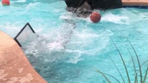 Dunk Fail