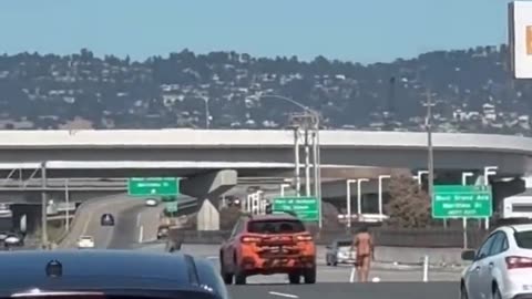 Naked Woman Shoots at Cars on the Freeway in California