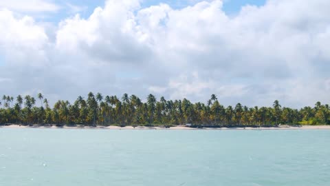 #coconut #trees #palmtrees #ocean #seaside #outdoor #outside 🎄👍