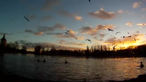 Lake, sunset - birds flying to the camera