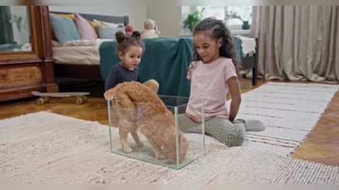 Kids Watch Eating Cat