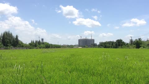 pathum thani thailand landscape by photo life