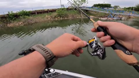 Fishing Shallow Crappie with Micro Swimbaits