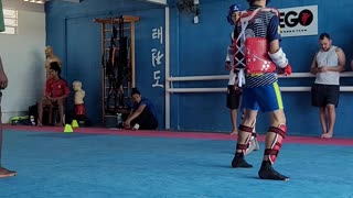 Taekwondo Training Knockout