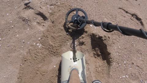 beach metal detecting (2)