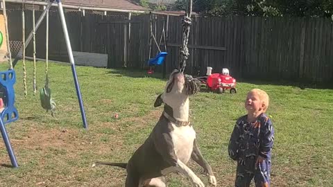 Dog Swings Guy on a Rope