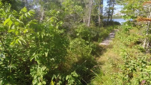 Honda CT125 Trail - Trail tour, Manitoulin Island, Canada