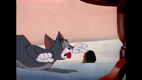 Tom y Jerry en Latino - Jerry el Burlador - WB