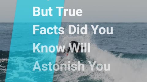 Top 5 Weird But True Facts Did You Know Will Astonish You