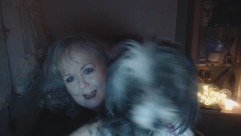 Chinese Crested Puffball sabotages my video