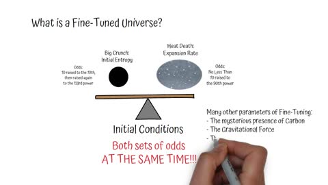 The Fine-Tuned Universe